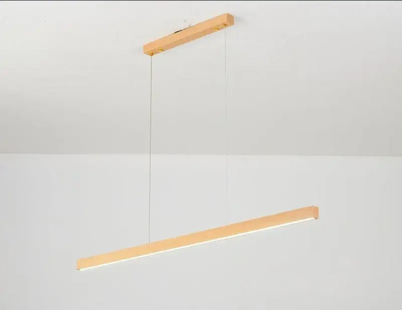 Homeko LED Light Fixture