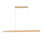 Homeko LED Light Fixture