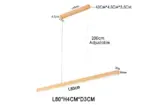 Homeko LED Light Fixture