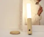 Homeko LED Rechargeable Wall Light
