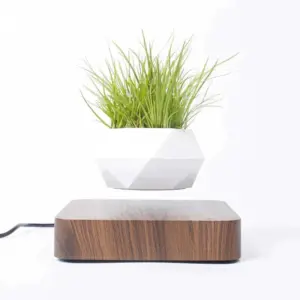 Homeko Levitating Flower Pot