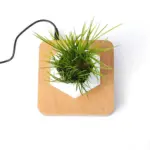 Homeko Levitating Flower Pot