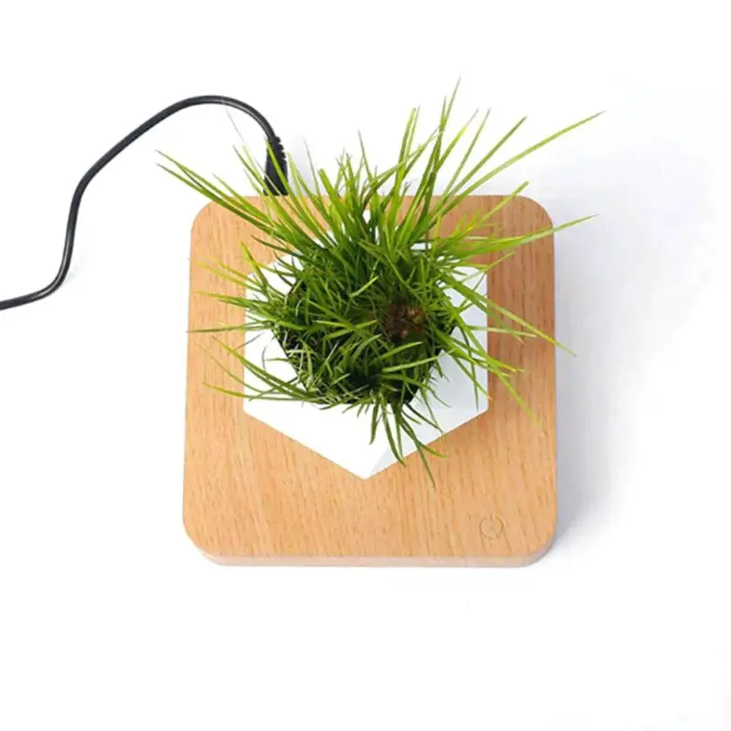 Homeko Levitating Flower Pot