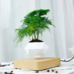 Homeko Levitating Flower Pot