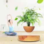Homeko Levitating Flower Pot
