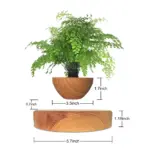 Homeko Levitating Flower Pot