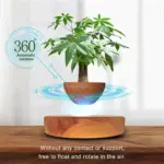 Homeko Levitating Flower Pot