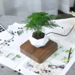 Homeko Levitating Flower Pot