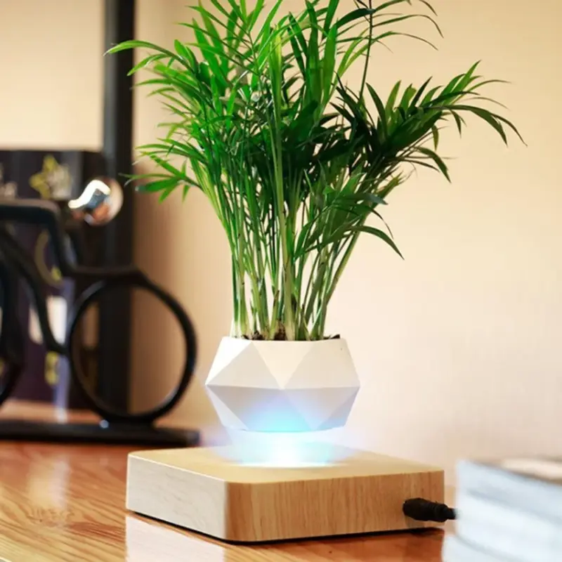 Homeko Levitating Flower Pot