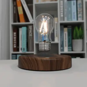Homeko Levitating Light Bulb
