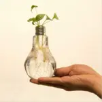 Homeko_Light_Bulb_Vase_-_-4259894 Homeko Light Bulb Vase