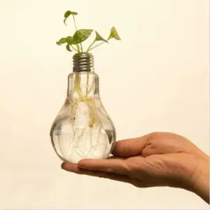 Homeko Light Bulb Vase