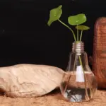 Homeko_Light_Bulb_Vase_-_-4259904 Homeko Light Bulb Vase