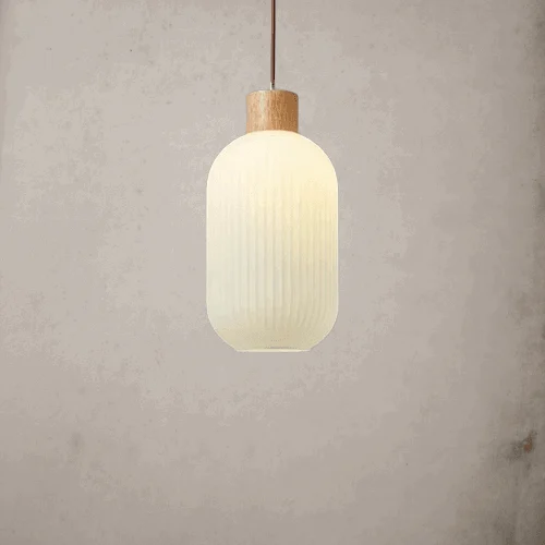 Homeko Loft Glass Lampshade Pendant Lamp -