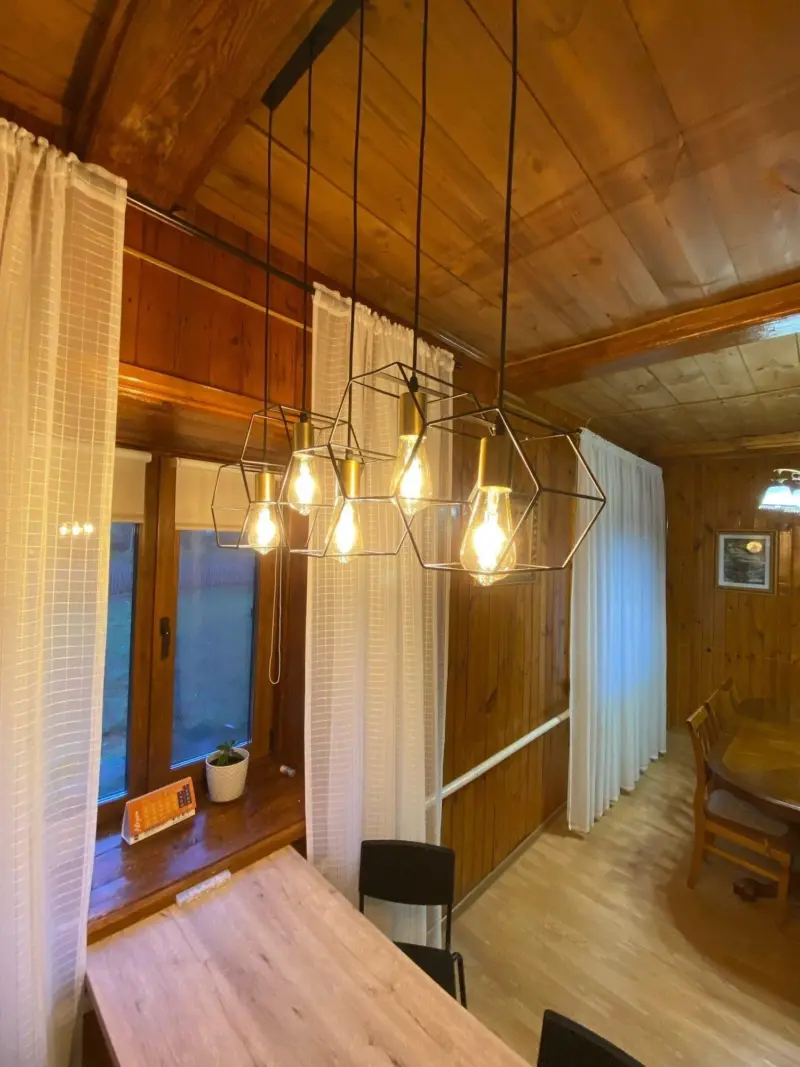 Homeko Loft LED Metal Pendant Lamp