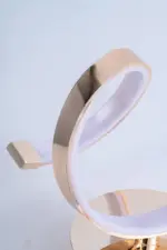 Homeko Metal LED Wall Lamp
