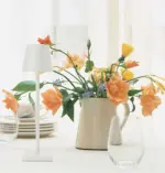 Homeko Modern Rechargeable Indoor Outdoor Table Lamp