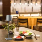 Homeko Modern Rechargeable Indoor Outdoor Table Lamp