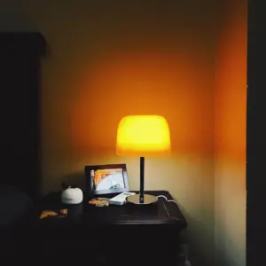Homeko Mushroom Glass Table Lamp