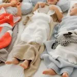 Homeko Ones Animal Blanket