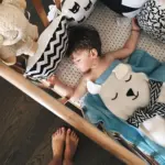 Homeko Ones Animal Blanket