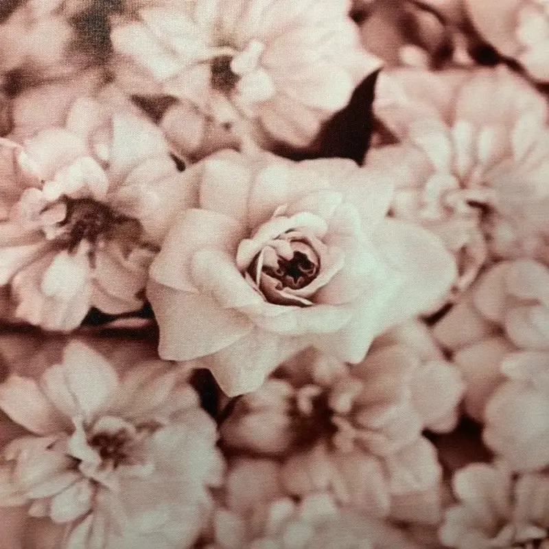 Homeko Peonies Wall Art
