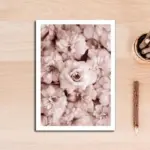 Homeko Peonies Wall Art