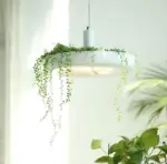 Homeko_Plant_Pendant_Lights_-_-4273296 Homeko Plant Pendant Lights