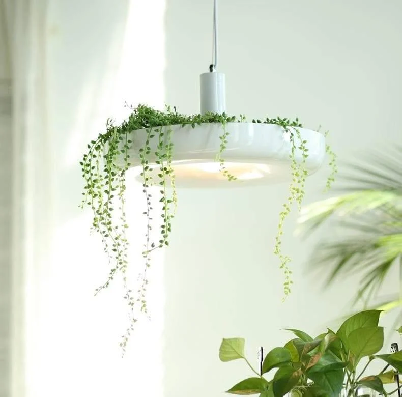 Homeko Plant Pendant Lights -