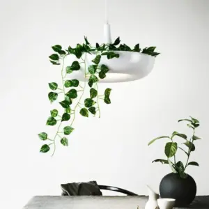 Homeko Planter Pendant Lamp - 