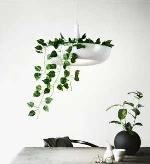 Homeko Planter Pendant Lamp