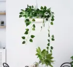 Homeko_Planter_Pendant_Lamp_-_-4273413 Homeko Planter Pendant Lamp
