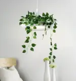 Homeko_Planter_Pendant_Lamp_-_-4273417 Homeko Planter Pendant Lamp