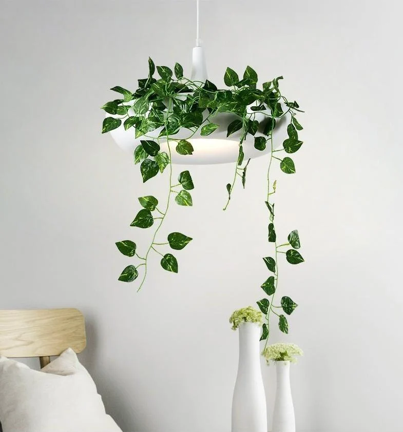 Homeko Planter Pendant Lamp -