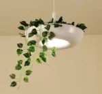Homeko_Planter_Pendant_Lamp_-_-4273420 Homeko Planter Pendant Lamp