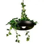 Homeko_Planter_Pendant_Lamp_-_-4273424 Homeko Planter Pendant Lamp