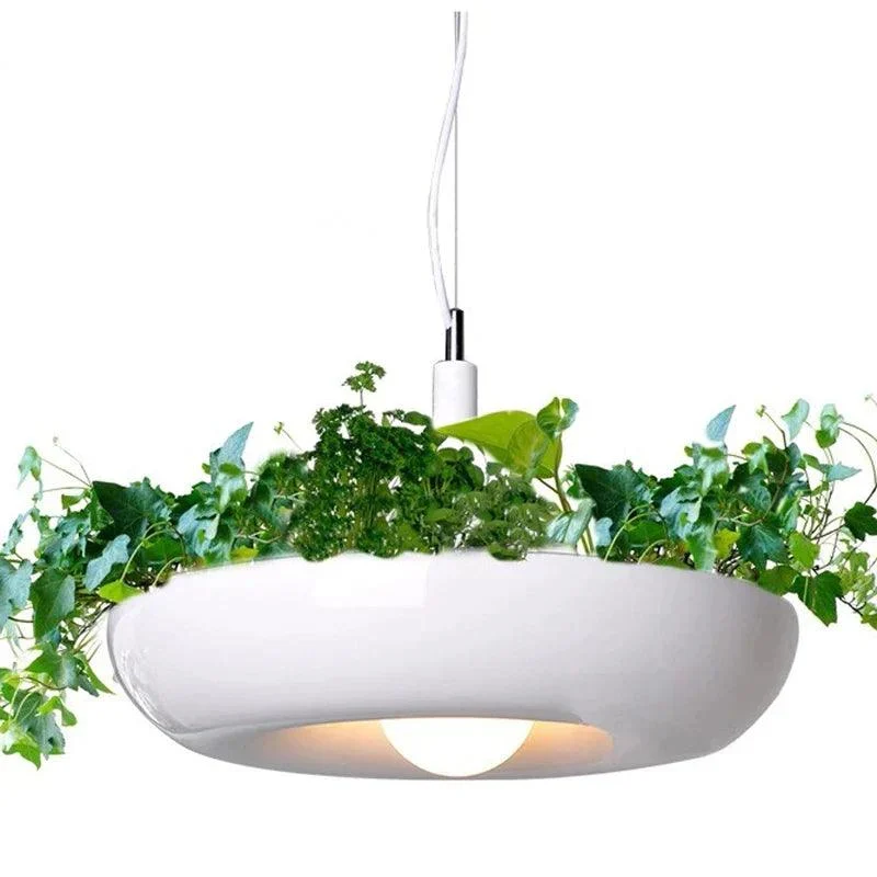 Homeko Planter Pendant Lamp -