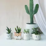 Homeko Planters