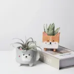 Homeko Planters