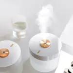 Homeko Portable Air Humidifier Purifier with LED Light 780ml