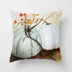 Homeko Pumpkin Pillows