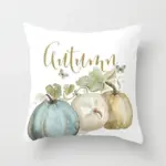 Homeko Pumpkin Pillows