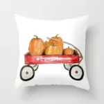 Homeko Pumpkin Pillows