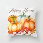 Homeko Pumpkin Pillows