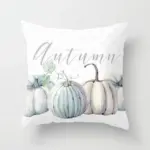 Homeko Pumpkin Pillows