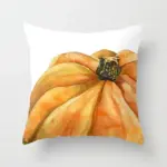Homeko Pumpkin Pillows