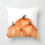 Homeko Pumpkin Pillows