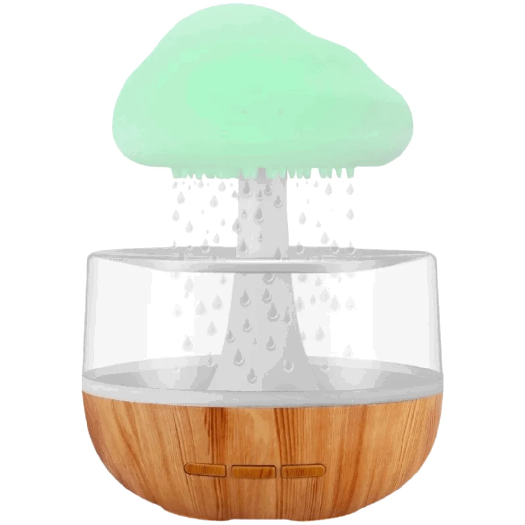 Homeko Rain Cloud Humidifier -