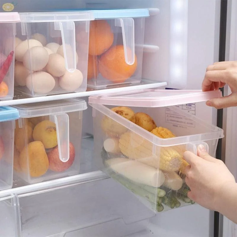 Homeko Sealable Fridge Storage Boxes -