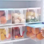 Homeko Sealable Fridge Storage Boxes